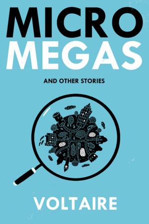 Book cover of Micromegas