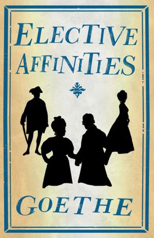 Cover of the book Elective Affinities by F. Scott  Fitzgerald