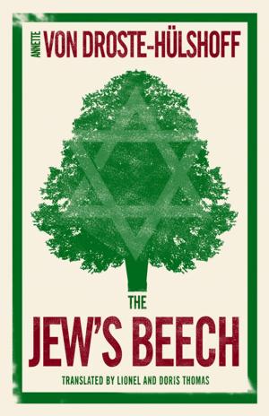 Book cover of The Jew's Beech