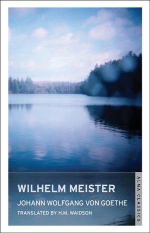 Book cover of Wilhelm Meister