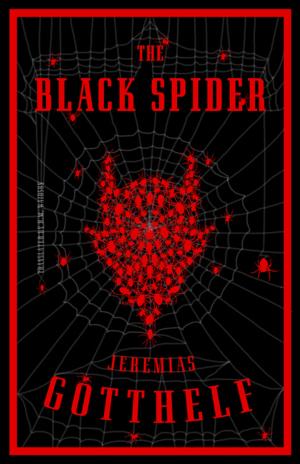 Book cover of The Black Spider