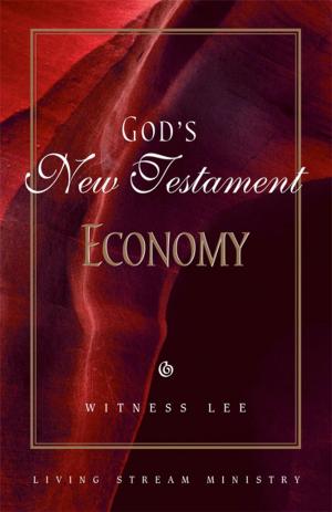 Book cover of God’s New Testament Economy
