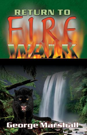 Cover of the book Return to Fire Walk by Anne Adams