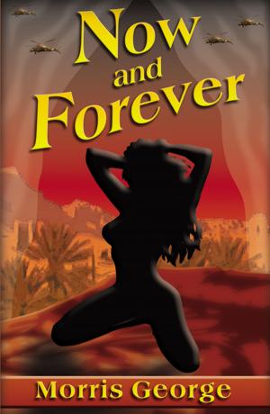 Cover of the book Now and Forever by Deanna R. Adams