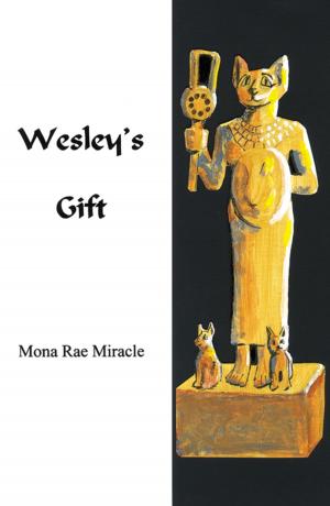 Cover of the book Wesley's Gift by Lyle J. Barnes