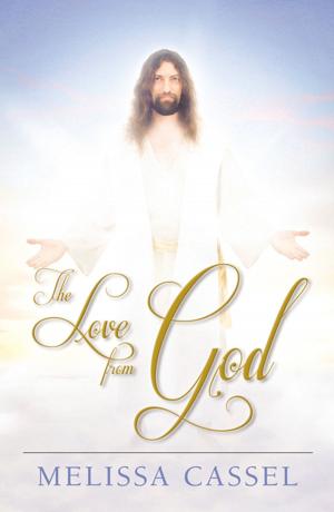 Cover of the book The Love From God by Fereshteh Sholevar