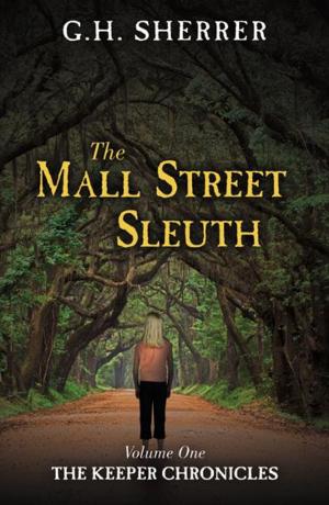 Cover of The Mall Street Sleuth: The Volume One of The Keeper Chronicles