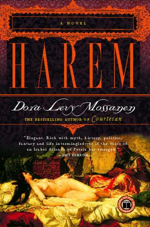 Cover of the book Harem by Ariella Moon