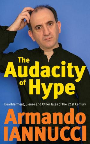 Cover of the book The Audacity of Hype by David Dickinson