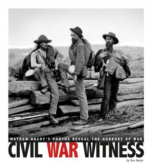 Cover of the book Civil War Witness by Matt Doeden