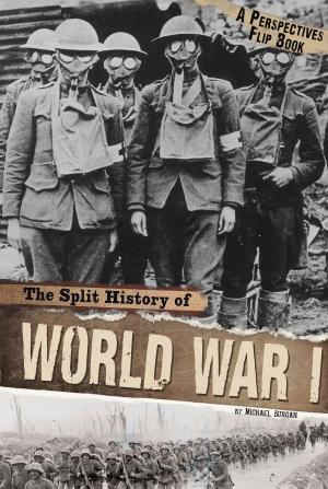 Book cover of The Split History of World War I