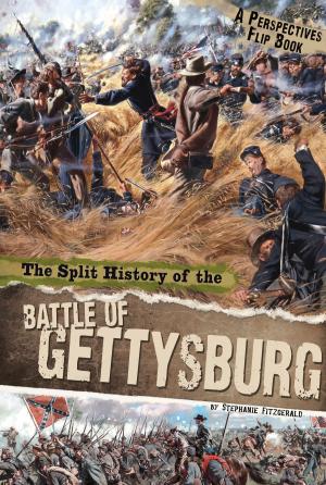 Book cover of The Split History of the Battle of Gettysburg
