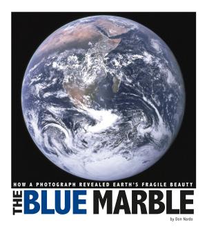 Cover of the book The Blue Marble by Allison Louise Lassieur