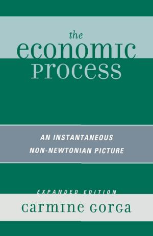 Cover of the book The Economic Process by Rudolph H. Weingartner, Isaias Zelkowicz