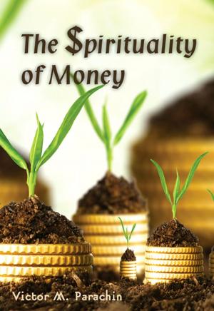 Cover of the book The Spirituality of Money by Amy M. Garro, Michele E. Chronister
