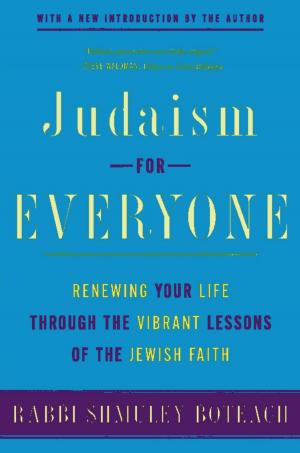 Cover of the book Judaism for Everyone by Robin Baker