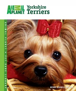 Cover of the book Yorkshire Terriers by Lisa Manzione