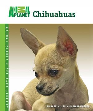 Cover of the book Chihuahuas by Pet Experts at TFH