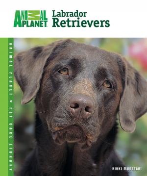 Book cover of Labrador Retrievers