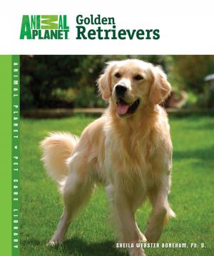 Cover of the book Golden Retrievers by Rebecca K. O'Connor