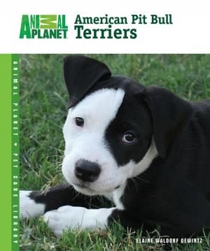 Cover of the book American Pit Bull Terriers by Patricia B. McRae, Ph.D.
