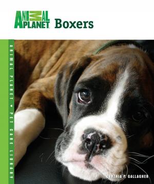 Cover of the book Boxers by Pet Experts at TFH