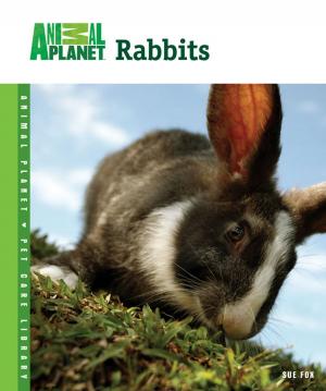 Cover of the book Rabbits by Nikki Moustaki