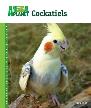 Cover of the book Cockatiels by Philip Purser