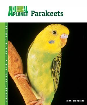 Cover of the book Parakeets by Dominique De Vito