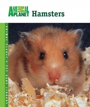 Cover of the book Hamsters by Robin Deutsch