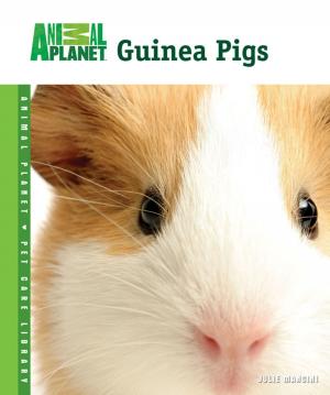 Cover of the book Guinea Pigs by Adam Britton
