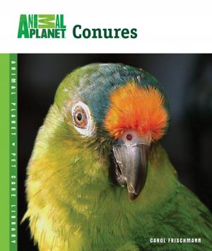 Cover of the book Conures by Tammy Gagne