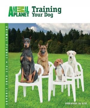 Cover of the book Training Your Dog by David E. Boruchowitz