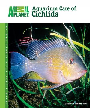 Cover of the book Aquarium Care of Cichlids by E.J. Pirog