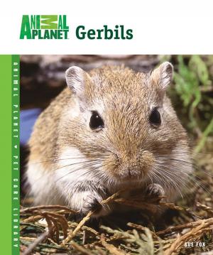 Cover of the book Gerbils by Carol Frischmann
