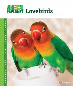 Cover of the book Lovebirds by Philip Purser