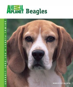 Cover of the book Beagles by Myra Savant-Harris