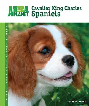 Cover of the book Cavalier King Charles Spaniels by Adam Britton