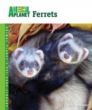 Cover of the book Ferrets by Diane Morgan
