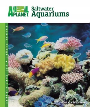 Cover of the book Setup & Care of Saltwater Aquariums by Sheila Webster Boneham, Ph.D.