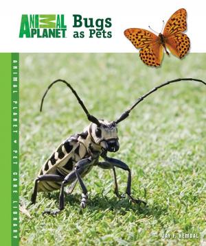 Cover of the book Bugs as Pets by David Alderton