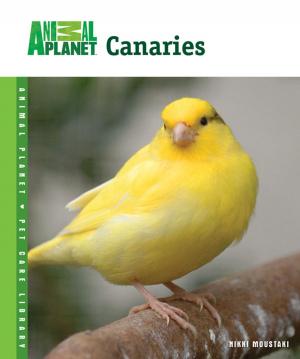 Cover of the book Canaries by Tammy Gagne