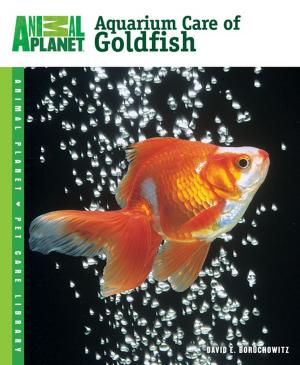 Cover of the book Aquarium Care of Goldfish by Dr. Sophia Yin