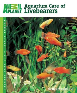 Cover of the book Aquarium Care of Livebearers by Dennis Kelsey Wood, Eve Kelsey-Wood
