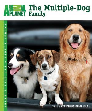 Cover of the book The Multiple-Dog Family by John Auborn, Donna Auborn-Smiley, Kathryn Martel