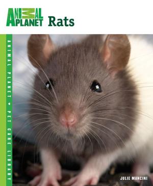 Cover of the book Rats by Bob Goemans, Lance Ichinotsubo