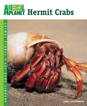 Book cover of Hermit Crabs