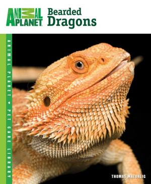 Cover of the book Bearded Dragons by Jay Hemdal
