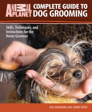 Cover of the book Complete Guide to Dog Grooming by Dominique De Vito