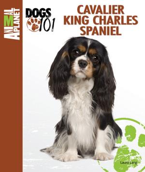 Cover of the book Cavalier King Charles Spaniel by Elaine Waldorf Gewirtz